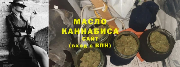 индика Верхний Тагил