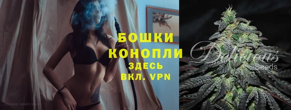 ПСИЛОЦИБИНОВЫЕ ГРИБЫ Волосово
