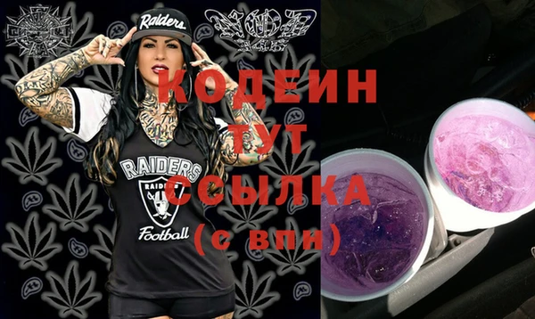 индика Верхний Тагил