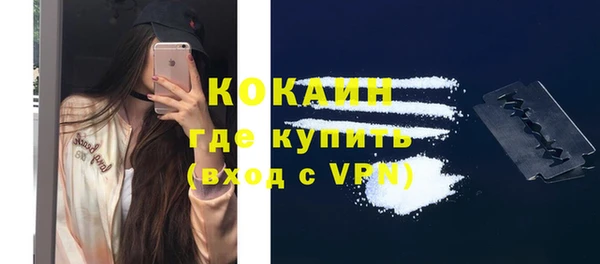 индика Верхний Тагил