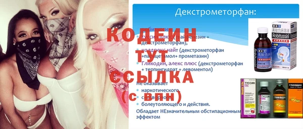 индика Верхний Тагил