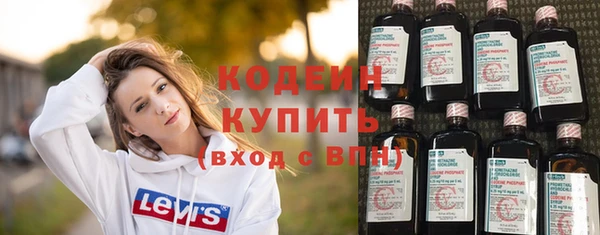 индика Верхний Тагил