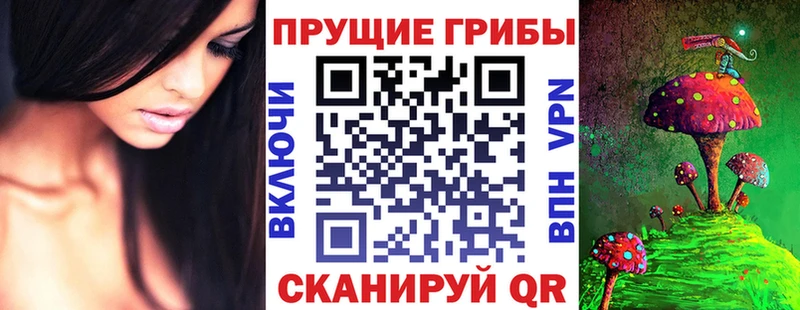купить закладку  MEGA ССЫЛКА  Псилоцибиновые грибы мицелий  Северобайкальск 